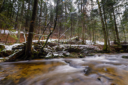 秋末 初冬和雪下 斯洛文亚州温加峡谷Slovenia的溪流中暴风雨生态岩石树干冥想森林流动石头瀑布生活环境图片