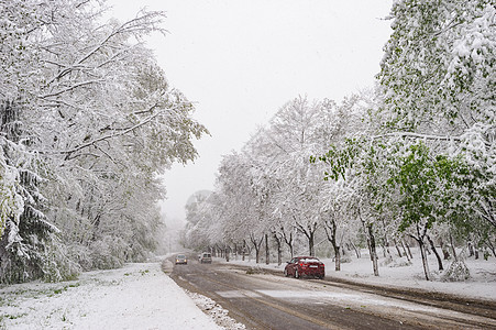 冬季雪路运输暴风雪季节风暴绿色汽车驾驶胡同白色场景图片