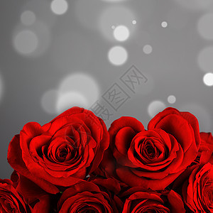 心形玫瑰灰色热情浪漫红色婚礼背景卡片白色魔法图片