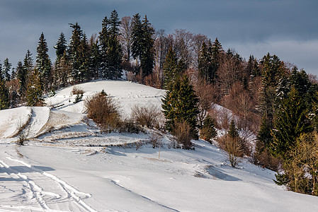 覆盖着积雪的森林林山坡丘陵森林资源环境风景小丘滑坡云杉公园辉煌图片