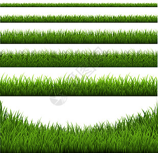 草地边框硒框架活力叶子足球环境牧场插图墙纸宏观园艺图片
