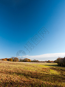 空旷的草地农田场景平原农业蓝天阳光日落农场晴天远景地平线太阳季节小麦场地图片