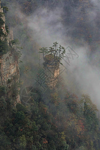 美丽的天山之子 天津山 在中国湖南普罗维自然保护区水分头像绿色薄雾旅行图片