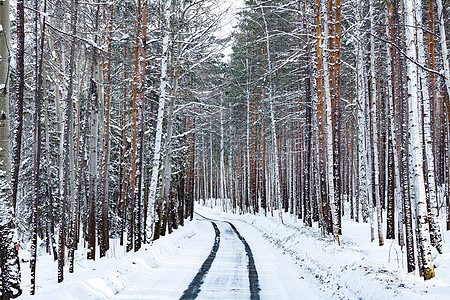 冬季森林中的道路 被雪覆盖的树木风暴旅行土地公园场景天气风景季节木头降雪图片