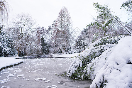 哈伯恩Grove公园冷冻湖仙境海港低温公园空间公共公园寒冷树木零度积雪图片