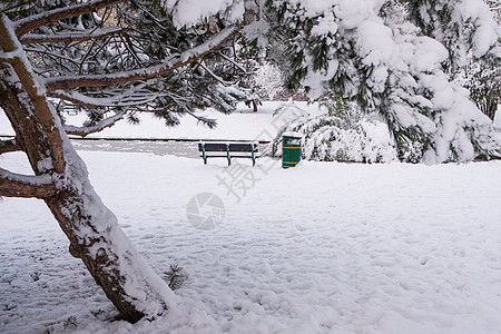 美丽的白雪覆盖绿地公园哈伯恩凳子椅子闲暇积雪海港树木寒冷冷冻池塘空间图片