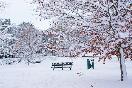 美丽的白雪覆盖绿地公园哈伯恩零度闲暇寒冷海港垃圾桶冷冻凳子低温空间公共公园图片