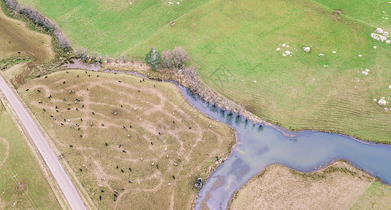 澳大利亚塔斯马尼亚农业田乡村牧草牧场穷乡草原饲料场地僻壤生态荒野图片