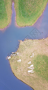 澳大利亚塔斯马尼亚农业田饲料荒野植被草原僻壤穷乡乡村农村场地牧场图片
