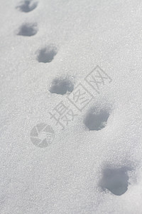 积雪中的台阶勘探脚印路线冒险小路远足踪迹风景大雪雪堆图片