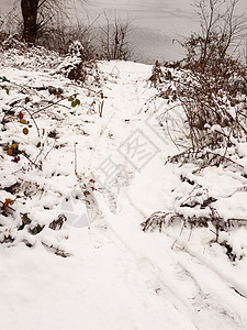 在湖边的山上人行道上结冰 冬天 12 月雪 c寒冷森林脚步远足天空勘探打印天气地面公园图片