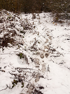 12月冬天外的雪地上穿过大片足迹磨砂途径国家脚印娱乐农村环境踪迹季节小路图片