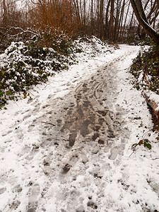 积雪覆盖的肮脏森林路径地板人行道外部纹理寒冷勘探天空痕迹脚步木头脚印打印远足场景图片