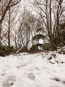 冬天人行道路径穿过森林积雪的地板树远足娱乐脚印木头分支机构痕迹场景天气踪迹寒冷图片