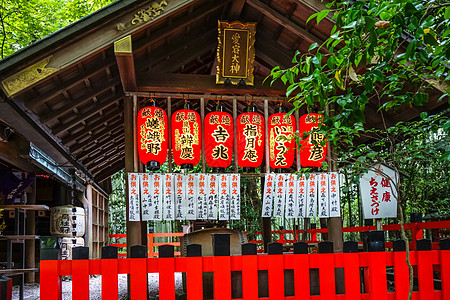 日本京都诺美雅神庙旅游游客旅行野宫寺庙竹子神社建筑崇拜神道图片