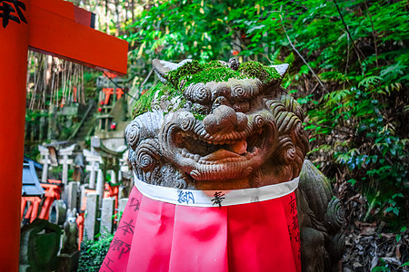 日本京都的狮子雕像森林伏见寺庙雕塑旅游神社地标汉子文化旅行图片