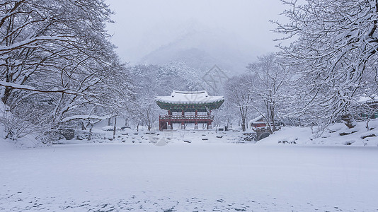 白阳萨寺和下雪 奈詹桑山冬季有雪 韩国的名山 冬风景图片