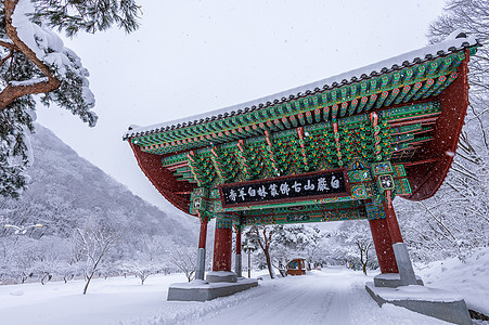 冬天的奈詹桑 下着雪图片