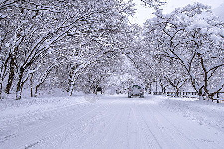 汽车和冬季下雪 在森林路上 有很多雪小路季节车辆降雪天气运输危险暴风雪车轮越野车图片