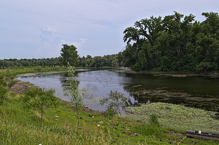 多瑙河支流和河流另一岸的森林公园蓝色溪流风景树木反射乡村河床木头池塘图片