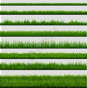 草地边境收藏纹理植物土地公园环境插图宏观墙纸叶子框架图片