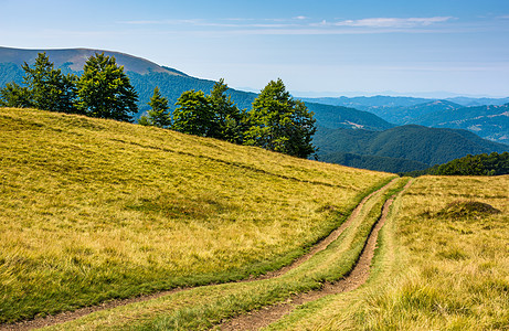 穿过草山的农村公路泥路山坡林地山脊风景运输爬坡地面木头小路图片