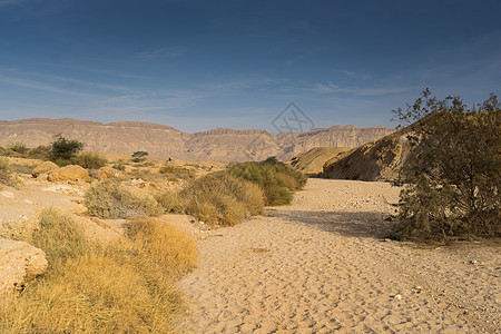 在以色列涅盖夫沙漠地带旅行沙漠山脉远足天空游客远足者旅游假期图片