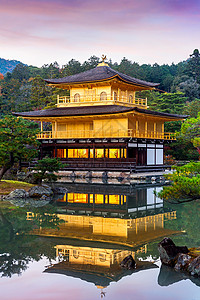 金殿 日本京都的九角寺庙旅游反射森林地标叶子佛教徒游客神社季节建筑图片