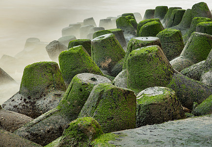 越南海岸防御屏障区渔网苔藓石头绿色海洋波浪岩石海滨海岸线支撑风暴图片