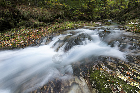 秋天树林中的溪流森林石头公园旅游流动农村岩石小路瀑布树木图片