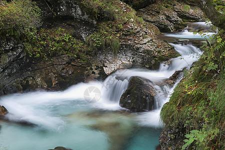 秋天树林中的溪流公园瀑布荒野旅游森林石头场景冥想树叶流动图片