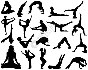 瑜伽和健身有氧运动乐趣权重肌肉饮食女士女孩讲师运动身体图片