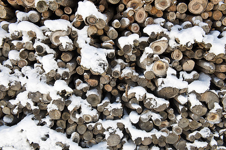 木柴堆日志材料活力季节环境柴堆松树壁炉林业记录图片