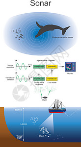 声纳系统导航和测距图片