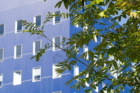 蓝色建筑地标公司太阳景观办公室市中心窗户玻璃建筑学经济图片
