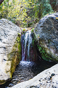 希腊克里特州里希蒂斯峡谷 冬季小瀑布季节森林树叶假期岩石风景峡谷叶子植物环境图片