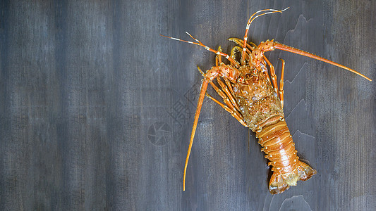 蒸龙虾海鲜美食动物贝类甲壳食物小龙虾龙虾图片
