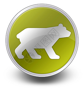 图标 按钮 象形熊棕熊动物插图打猎贴纸动物园猎人观赏旅游直升机图片