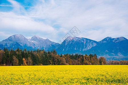 斯洛文尼亚阿尔卑斯山高山爬坡顶峰旅行草地风景教会村庄季节环境远足图片