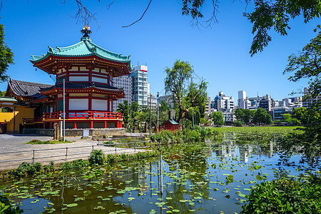 Shinobazizu池塘和Benten Hall寺庙 日本东京内诺图片