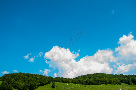 山丘上的明蓝天空绿色天空场地爬坡山脉季节草地森林旅行全景图片