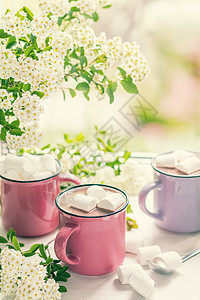 在粉红杯中加棉花糖的热可可面包蓝色饼干餐巾甜点巧克力桌子杏仁白色粉色图片
