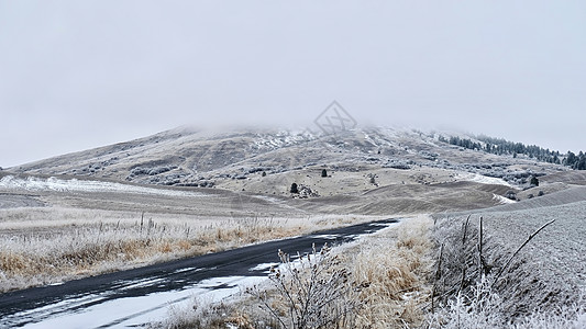 冬季道路在滚动的山丘中穿过充满雾和雪的农田图片