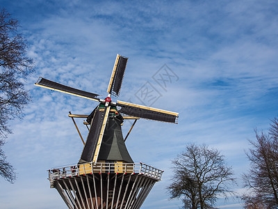 荷兰著名的荷兰风力车(荷兰)图片