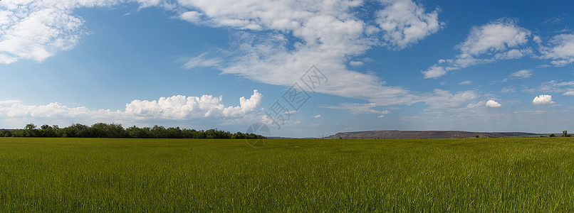 田地照片全图旅游地平线季节植物场景风景阳光日出草地自然图片