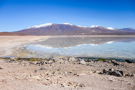 玻利维亚苏德利佩斯保留地的明显高平原落后物旅行晴天火山沙漠荒野保护地标天空火烈鸟旅游图片