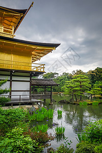 日本京都Kinkakuji金殿花园反射森林建筑学佛教徒神社鸢尾花池塘历史性寺庙图片