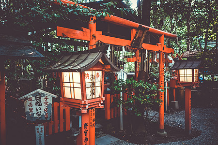 日本京都诺美雅神庙森林灯笼竹子游客旅游神社旅行崇拜建筑学野宫图片