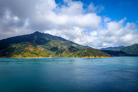 新西兰天空海岸线地标假期森林海洋蓝天山脉蓝色农村图片