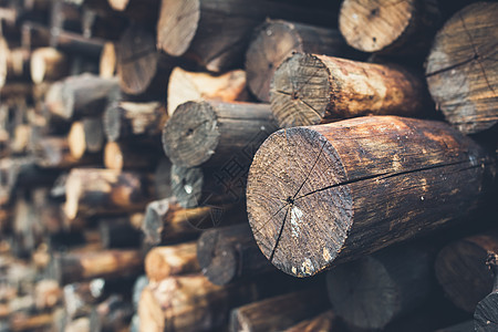 为壁炉准备的堆木柴木头环境场地木材燃料农村乡村树干木匠日志图片
